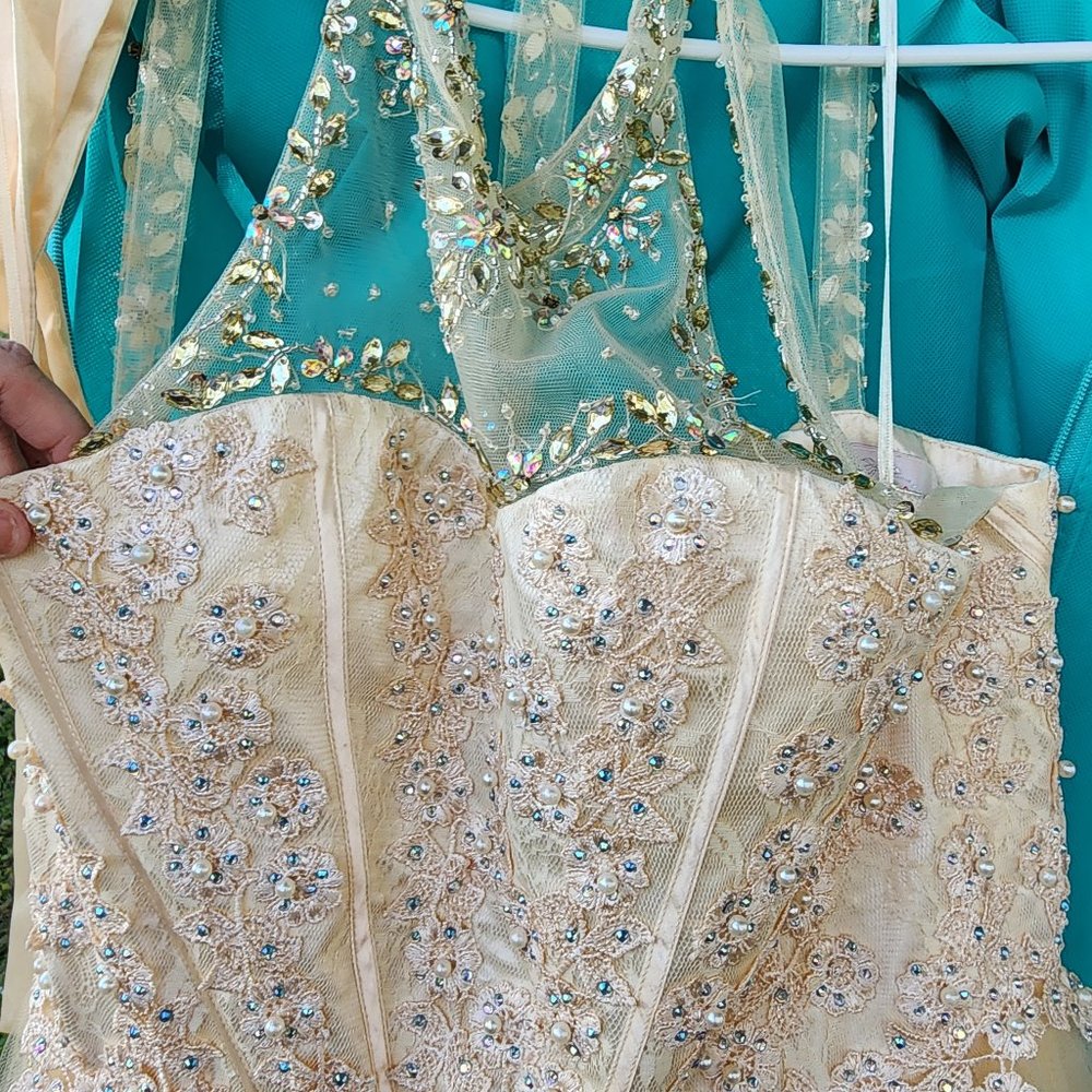 Champagne Big Girls Ball Gown